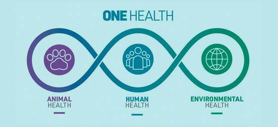 Observatorio One Health: Salud Animal, Salud Ambiental y Salud Humana para mejorar la Salud pública