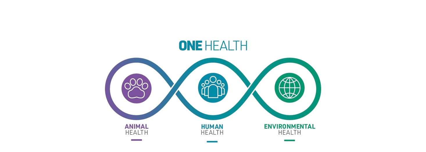 Observatorio One Health: Salud Animal, Salud Ambiental y Salud Humana