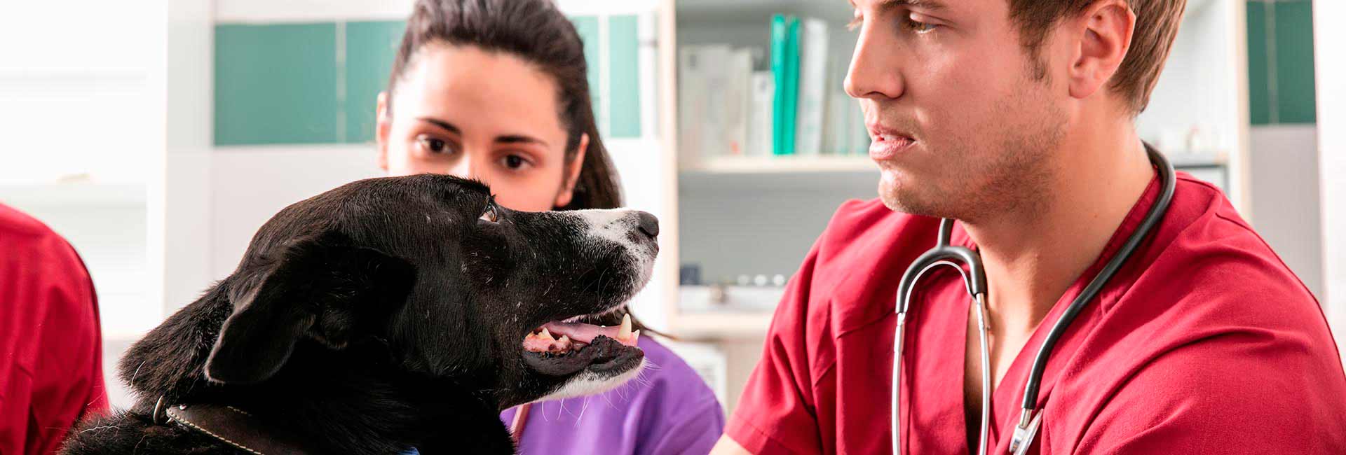 Un hospital de referencia al servicio de los profesionales