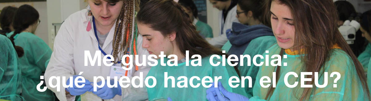 Docencia e investigación