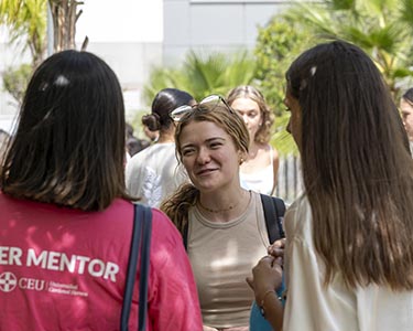 Conoce a tu mentor