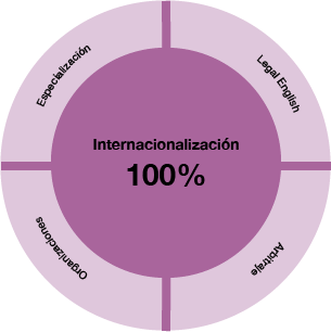 Diploma Universitario de especialización en Derecho Internacional y Derecho Europeo (VALENCIA)