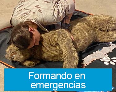 Formando en emergencias