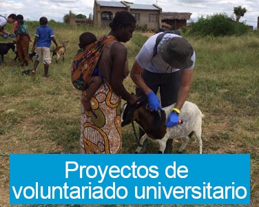 Proyectos de voluntariado universitario