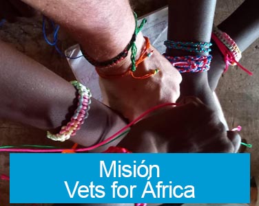 Misión Vets for Africa