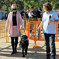 Caminando juntos