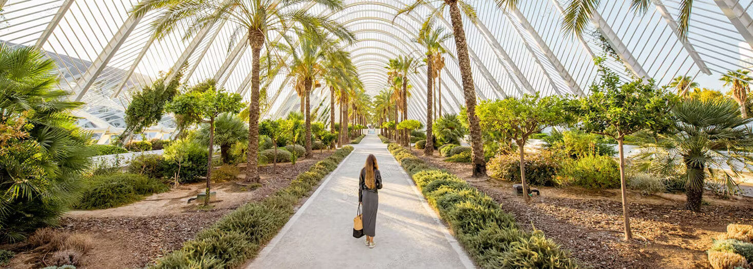 Étudier en Espagne